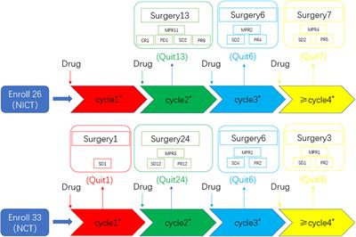 Comparison of neoadjuvant chemoimmunotherapy and chemotherapy alone for resectable stage III non-small cell lung cancer: a real-world cohort study